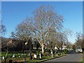 Path, West Norwood Cemetery (5)