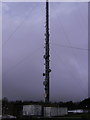SN1730 : Lower part of Preseli mast by chris whitehouse