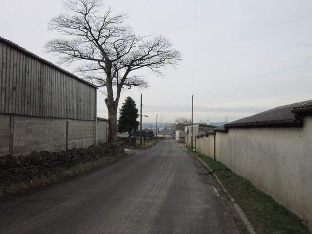 Cliffe Hollins Lane at Lower Chatts Farm