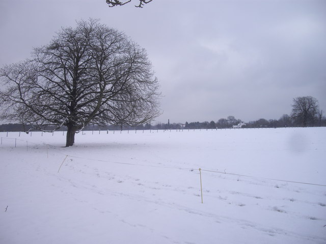 Snow in Osterley Park