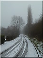 SO8854 : Snowy lane - Swinesherd by Chris Allen