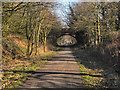 Trans Pennine Trail, Warburton Bridge