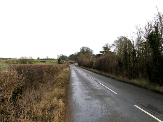 Towards Rushton