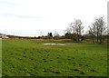 Pond at Pipewell