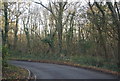 Sharp bend, Hawe Lane