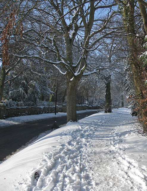 Snowy pavement