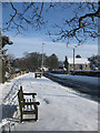 A seat in the snow