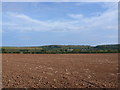 SP1256 : Field near Haselor by Nigel Mykura
