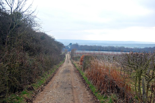 View down the Weald Way