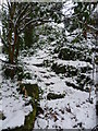 TQ4577 : Snowy steps in Rockliffe Gardens by Marathon