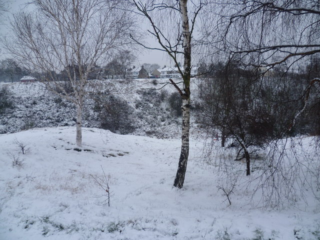 Looking across The Slade to Plumstead Common in the snow