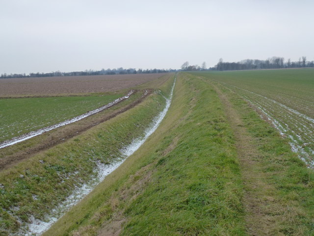 Foot path north of Bleak House Farm, Gedney Drove End