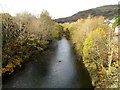 Rhondda Fawr flows towards Ystrad Rhondda station access footbridge