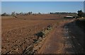 Red Devon soil, Highwood