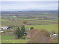 View from Meon Hill