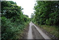 Medway Valley Walk heading north