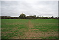 Saxon Shore Way crossing a field