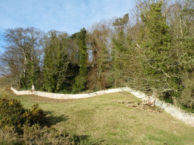 Wall and woods of Castle Hills House estate
