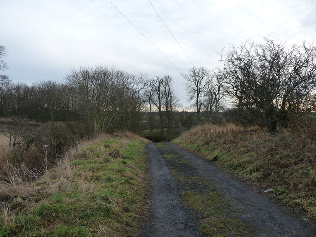 Old track leading to New Water Haugh