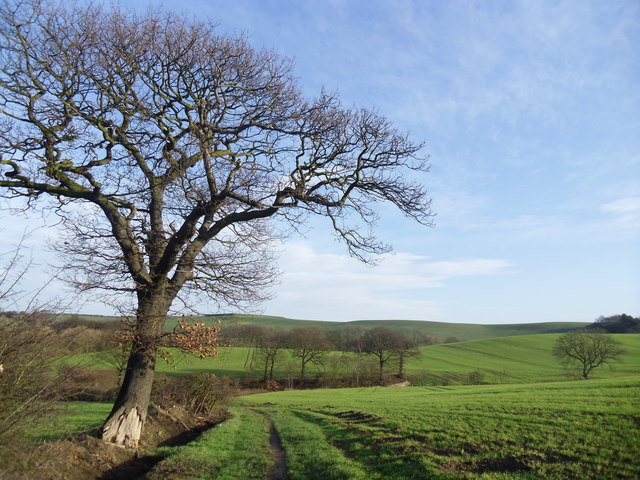 Farmland near Grimethorpe.