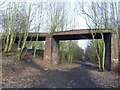 Disused bridge and Railway line.