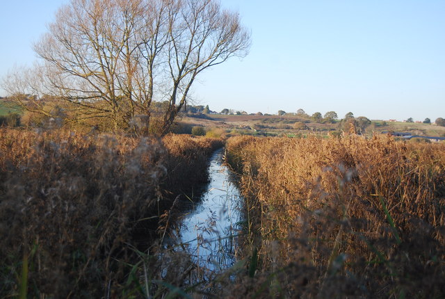 Ditch, Westbere Marshes