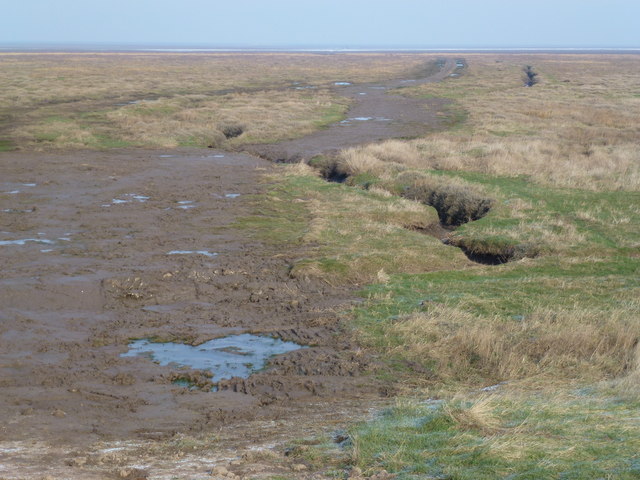 Destroyed salt marsh in the Wash near Sutton Bridge