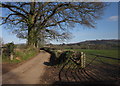 Lane to Hackpen Mill