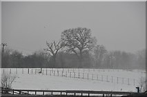 SP0473 : Bromsgrove : A Snowy Field by Lewis Clarke