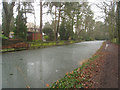 Basingstoke canal - Fleet