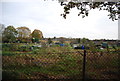 Allotments behind Baker Close