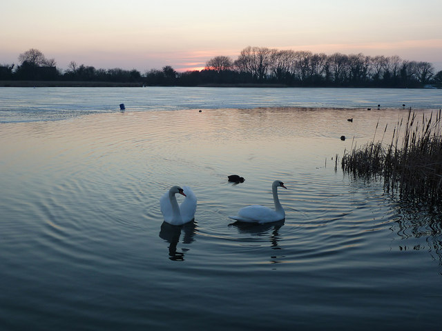 Sunset on Swan Lake