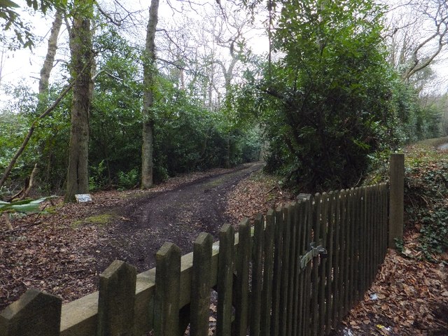 A track into Luscombe Wood