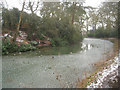 Curve in Basingstoke canal, Fleet