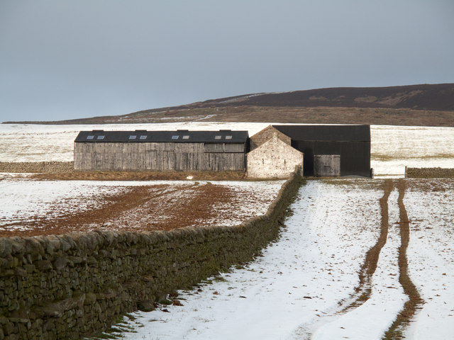 Barns in fields on north side of Teesdale