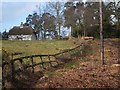 Thatched house near Ashcombe Tower