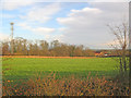 Communications mast near Whitehills Farm