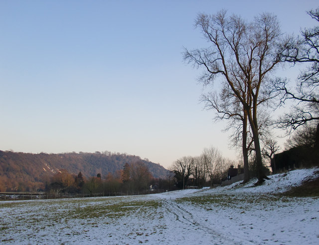 Norbury Park: the southernmost corner, after snow