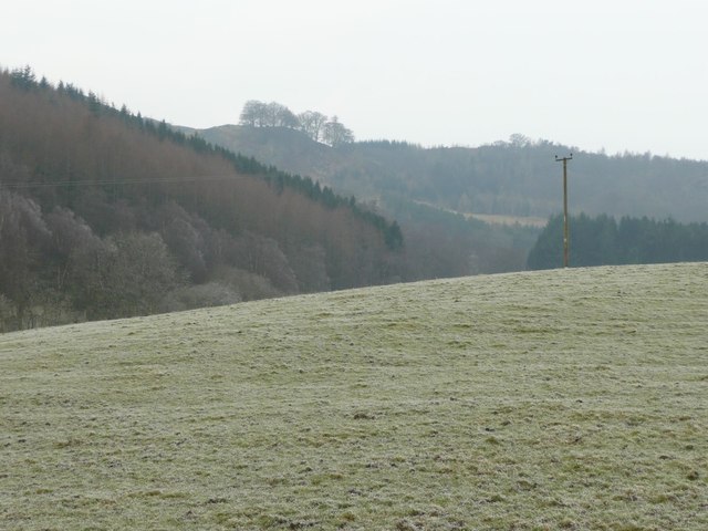 Pasture with electricity pole