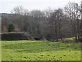 Bridge over Dawlish Water near Houndspool