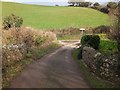 Bridge over Dawlish Water near Jubilee Farm