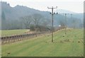 Electricity poles beside the railway at Inchmagrannachan