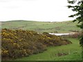 Ballydargan Lake from the Ballylucas Road