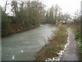 Basingstoke Canal west of Coxheath Bridge