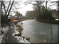 Basingstoke Canal near Coxheath Bridge