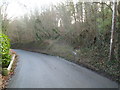 Track into woods near Llandegfedd Reservoir