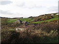 Former galena mining area around Glebe House, Rathmullan