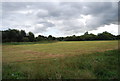 Grassland, Bramford Meadows