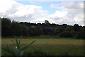 Train on the Great Eastern Line