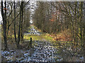 Footpath Near Chequerbent